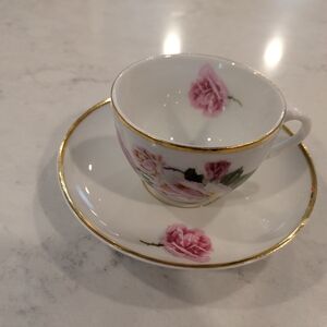 Vintage  1929 - 1931s. C.T. Altwasser Germy Floral Teacup and Saucer Set